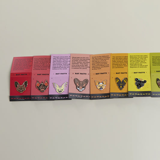 A collection of bat pins in rainbow color order.
