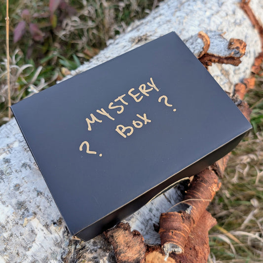 Black box sitting on a birch tree